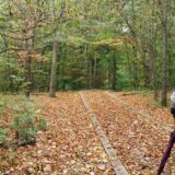 14264061_1238118432913266_4251195000972483626_n