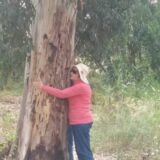 18193747_1455229974535443_496116248056157580_n