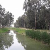 18194083_1455229144535526_578880041224556791_n