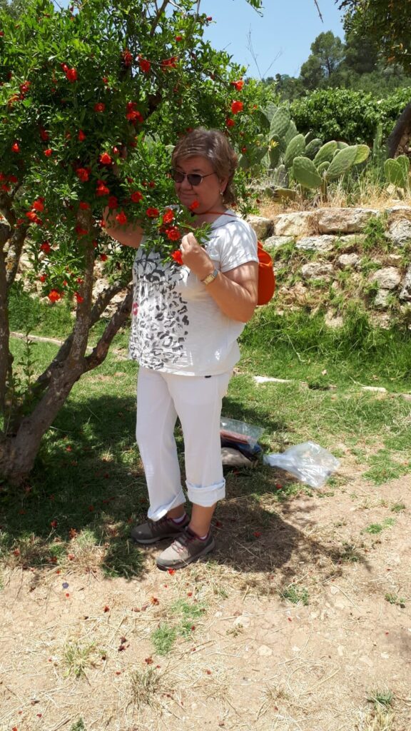 281806417_5256041517787584_8485063881981470824_n