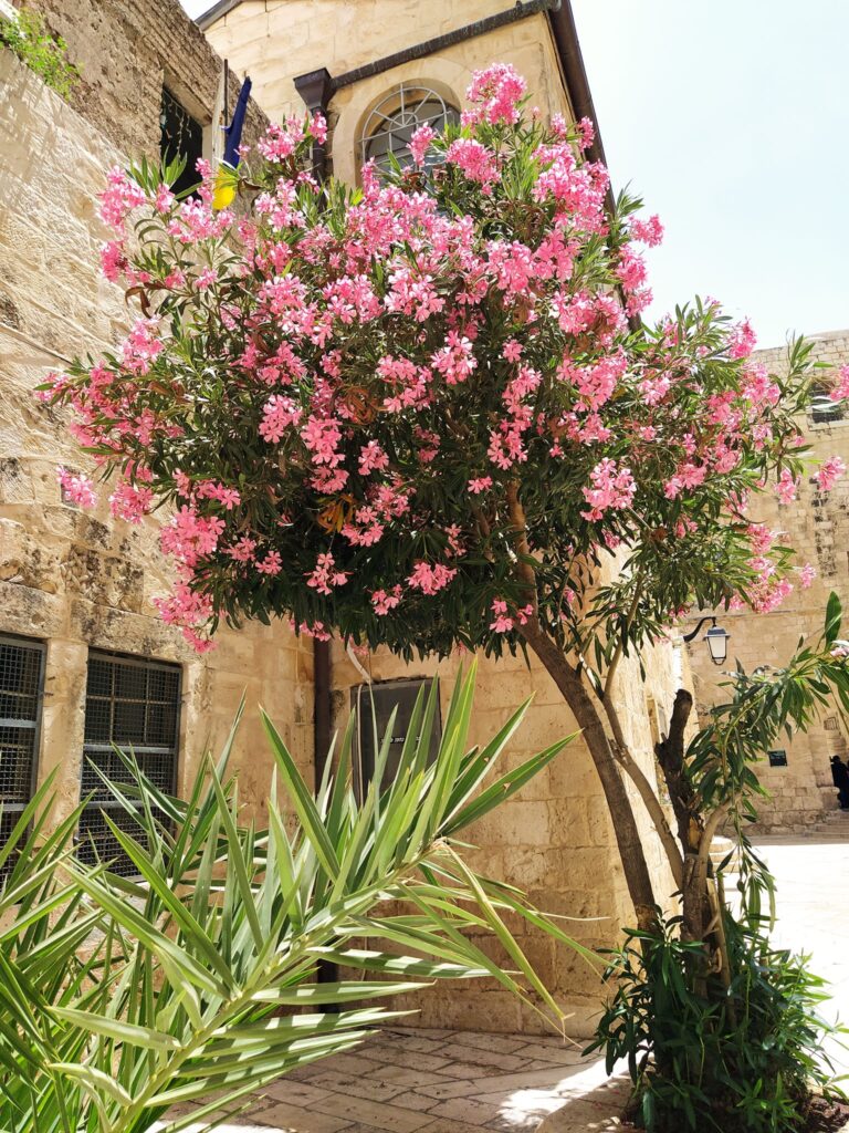 282295684_5256057131119356_1475683559840807090_n